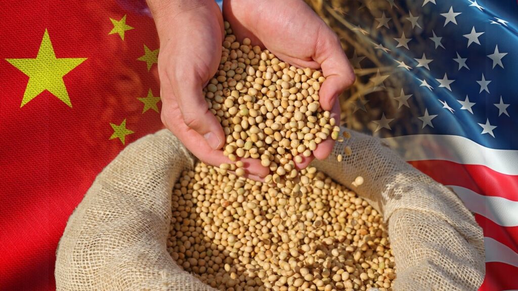 China Buys U.S. Soybeans Again China Buys U.S. Soybeans Again