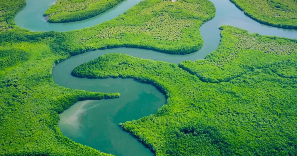 Investment in Nature-Based Water Security Investment in Nature-Based Water Security