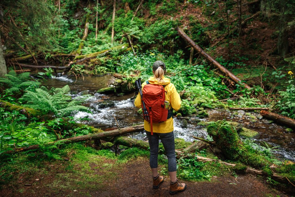 Britain ranks among world’s least ‘nature-connected’ nations, study finds