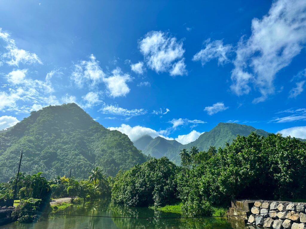 Nepal’s Terai: A Quiet Region Where “The Guest Is God”