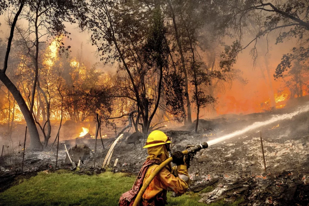 California Wildfire Damage Drop Shows Big Progress Now