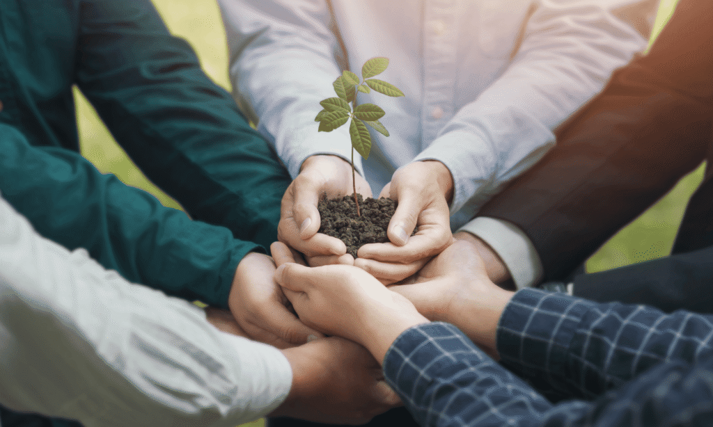 Sustainability Trend Grows in US Consumer Markets