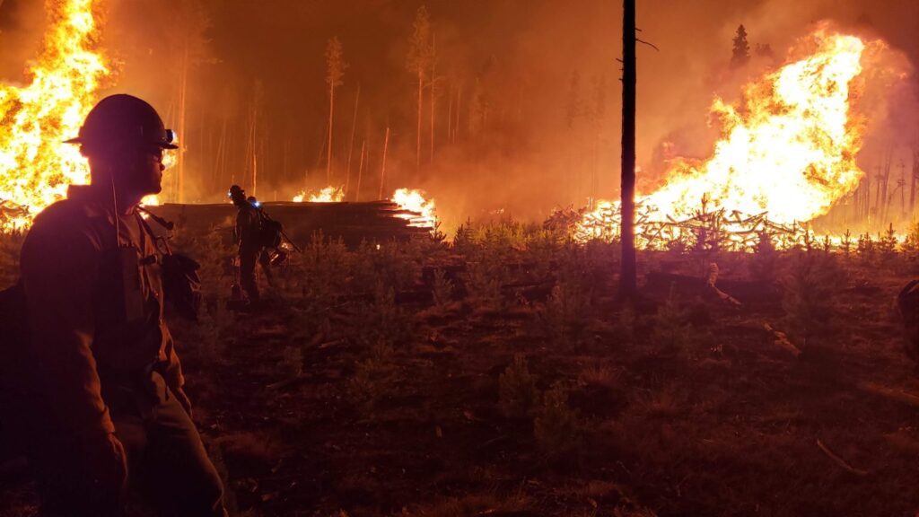 Wildfire Recovery Efforts Expand Across Regions