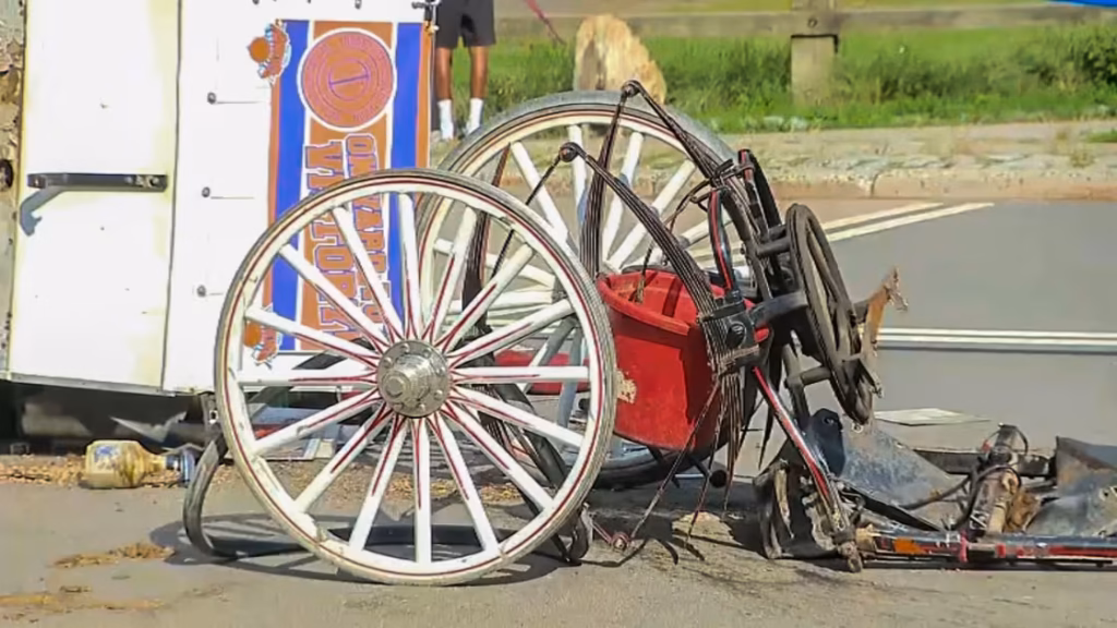 Central Park carriage accident kills teen Central Park carriage accident kills teen