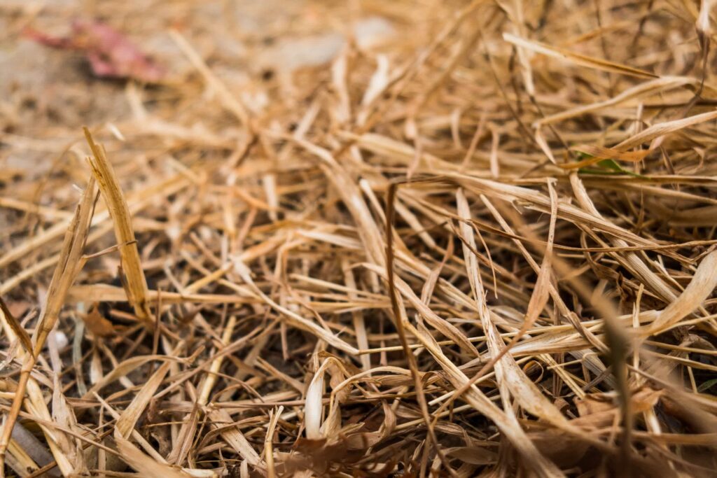 AI Crop Damage Loss Shows Real AI Dangers AI Crop Damage Loss Shows Real AI Dangers
